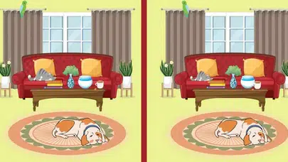 Görsel bulmaca nedir, dikkat geliştirme etkisi var mı, zeka testi mi?