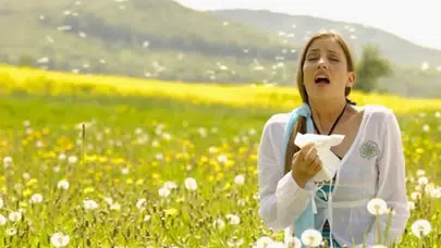 Bahar kabusu başladı: Polen alerjisi milyonlarca kişiyi etkiliyor!