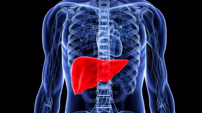 ASPARTAT TRANSAMİNAZ (AST) NEDİR? İşlevi ve önemi nedir, AST yüksekliği ne anlama gelir?