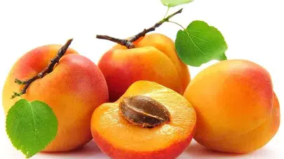 RÜYADA KURU KAYISI YEMEK NE DEMEK? Dalından Kayısı Yemek ve Sarı Kayısı Görmek Ne Anlama Gelir?