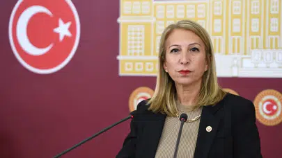 Süreyya Öneş Derici Kimdir, Nereli, Kaç Yaşında, Hangi Partiden, Muğla Milletvekili Mi, TBMM Görevi Nedir, Bürokrasi Geçmişi ve Siyasi Kariyeri