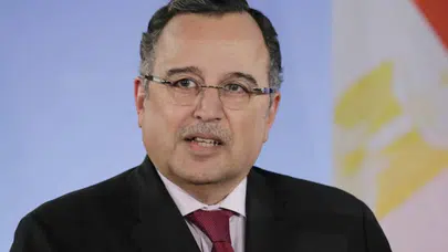 Nebil Fehmi kimdir ve hayatı: Kökeni neresi, görevi ne, hangi dilleri biliyor?