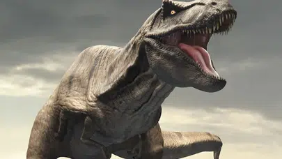 GERÇEK TREX! T-Rex Gerçekten Zeki miydi, Tyrannosaurus Rex’in Beyin Yapısı ve Dinozor Zekâsı Hakkında Yeni Araştırma Ne Söylüyor?