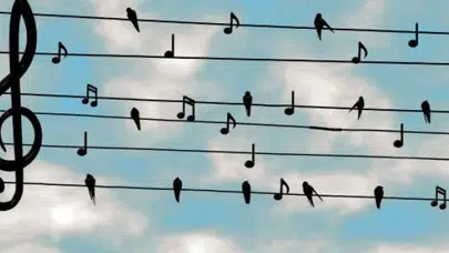 Mem Ararat Lorîka Cemîla sözleri nelerdir?  Kürt müziğinin güçlü yorumcularından Mem Ararat’ın “Lorîka Cemîla” adlı eseri, duygusal yoğunluğu ve gerçek bir hikâyeye dayanmasıyla dikkat çekiyor. Şarkı, Kürtçe (Kurmanci) dilinde söylenen bir ağıt formunda olup özellikle kayıp, acı ve özlem temalarını işliyor.  Eserin öne çıkan dizelerinden kısa bir bölüm şu şekilde:  “Ezê çibikim, ne ewrek im…” “Na na wele ezê ne bayekî gur im…”  Bu dizelerde, çaresizlik ve müdahale edememe duygusu güçlü bir şekilde ifade ediliyor.  Şarkının genelinde tekrar eden yapı, ağıt geleneğine uygun olarak duygunun yoğunlaşmasını sağlıyor.  Mem Ararat Lorîka Cemîla sözleri Türkçe anlamı nedir?  Şarkının Türkçe çevirisi, eserin taşıdığı dramatik anlatıyı daha açık hale getiriyor.  Bazı dizelerin Türkçe karşılığı şu şekilde:  “Ne yapabilirim ki, bir bulut değilim ki yağmur olup bu yangını söndürebileyim” “Şiddetli bir fırtına değilim ki bu kara dumanı yok edebileyim”  Şarkının ilerleyen bölümlerinde ise acı daha derinleşiyor:  “Bu sabah Cemile’me ninnimi söyleyecektim” “Çağrıma cevap verirse her şeyi yıkacağım”  Bu çeviriler, bireysel bir kaybın yarattığı büyük yıkımı ve çaresizliği gözler önüne seriyor.  Mem Ararat Lorîka Cemîla çevirisi ne anlatıyor?  Şarkının çevirisi incelendiğinde, sadece bir ağıt değil, aynı zamanda güçlü bir toplumsal anlatı olduğu görülüyor.  Eserde:  Masum bir çocuğun kaybı Ailenin yaşadığı acı Adaletsizlik ve çaresizlik Umut ve direniş  temaları ön plana çıkıyor.  Özellikle şu anlam dikkat çekici:  “Rüzgâr değilim ki bu karanlığı dağıtayım”  Bu ifade, yaşanan olay karşısındaki güçsüzlüğü ve insanın sınırlarını vurguluyor.  Şarkının son bölümlerinde ise yeniden ayağa kalkma ve mücadele etme mesajı veriliyor.  Mem Ararat Lorîka Cemîla şarkısı ne anlatıyor, konusu nedir?  “Lorîka Cemîla”, gerçek bir olaydan esinlenerek yazılmış bir ağıttır. Şarkı, 2015 yılında hayatını kaybeden küçük bir çocuğun ardından yakılan bir yas türküsü olarak bilinir.  Eserin ana konusu:  Masumiyetin kaybı Aile acısı Toplumsal travma  üzerine kuruludur.  Cudi Dağı ve çevresine yapılan göndermeler, şarkının geçtiği coğrafyaya dair ipuçları verirken, anlatıyı daha somut hale getirir.  Bu yönüyle eser, bireysel bir hikâyeden yola çıkarak kolektif bir acıyı temsil eder.  Mem Ararat Lorîka Cemîla neden bu kadar etkileyici?  Şarkının bu kadar etkileyici olmasının temel nedenlerinden biri, gerçek bir hikâyeye dayanmasıdır. Dinleyici, sözlerde anlatılan acıyı doğrudan hissedebilir.  Eserin güçlü yönleri:  Duygusal yoğunluk Minimal ama etkili sözler Geleneksel ağıt formu Evrensel acı ve kayıp teması  Ayrıca Mem Ararat’ın vokal yorumu, şarkının etkisini daha da artırmaktadır.  Mem Ararat kimdir, Lorîka Cemîla gibi eserleriyle neden tanınıyor?  Mem Ararat, Kürt müziğinin önemli temsilcilerinden biridir. Müzik kariyerine yerel çalışmalarla başlayan sanatçı, zamanla geniş bir dinleyici kitlesine ulaşmıştır.  Özellikle:  Duygusal ağıtlar Toplumsal içerikli eserler Geleneksel Kürt müziği  alanında yaptığı çalışmalarla tanınır.  “Lorîka Cemîla” ise onun en çok bilinen ve en fazla dinlenen eserlerinden biri olarak öne çıkar.