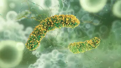 Uzmanlar uyardı: Bu şikayetler parazit işareti olabilir!