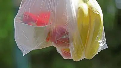 Poşet Paralı Oldu, Atık Azaldı! Milyonlarca Ton Plastik Doğaya Karışmadı