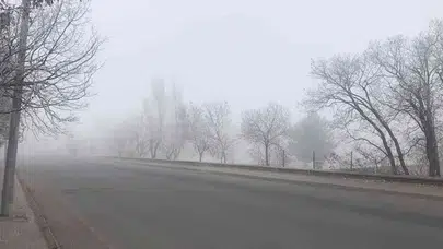 BİNGÖL HAVA DURUMU 24 MART SALI! Bugün en yüksek ve en düşük sıcaklık kaç, yağış ihtimali var mı?