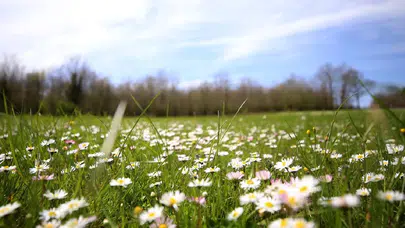 Doğanın Uyanışını Simgeliyor! Son Cemre Toprağa Düştü