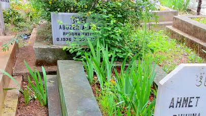 Türkiye’nin Dört Bir Yanında Sürüyor: Mezara Bırakılan Mersinin Hikayesi