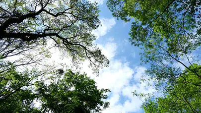 KIRKLARELİ HAVA DURUMU 18 MART 2026! Bulutlu Hava, 9°C Sıcaklık, Yağış ve Rüzgar Detayları...