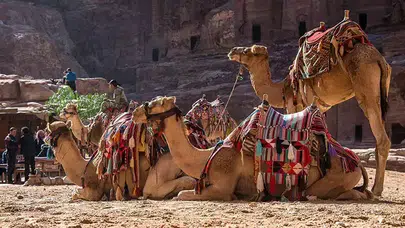 KAHVE FALINDA YÜKLÜ DEVE GÖRMEK! Falda Deve Şekli Görmenin Yorumu