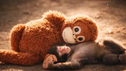 Turuncu Oyuncağı Elinden Alınınca Verdiği Tepki Bakıcıları Bile Şoke Etti