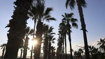 MERSİN HAVA DURUMU 7 MART 2026! Mersin hava durumu nasıl olacak?