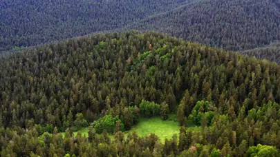 Milli Parklar İçin Yeni Yasa Kabul Edildi! Denetim ve Koruma Yetkileri Artıyor