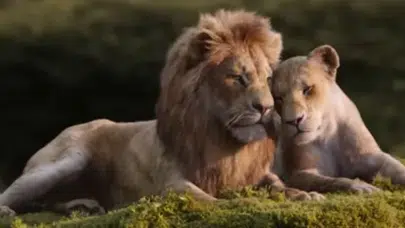 THE LION KING FİLMİNDEKİ GİZLİ DETAYLAR NELER? Scar’ın yara izi nasıl oluştu, Simba ve Nala teorisi gerçek olabilir mi?