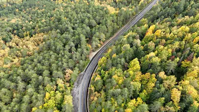 Türkiye Ormanları İçin Dev Harcama! 2,3 Milyar Liralık Çalışma Yapıldı