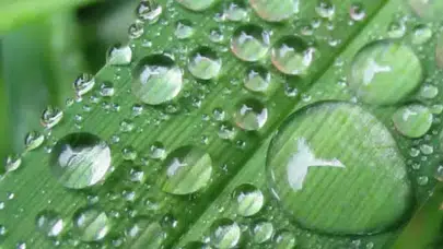 Baharın Habercisi Geldi: 3. Cemre İçin Geri Sayım Başladı