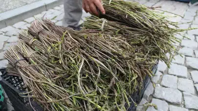 Dağlardan Sofralara! Aydın’ın “Acı Otu” Tezgahta 150 TL
