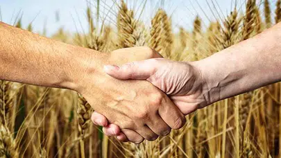 KÜRTÇE NASILSIN İYİ MİSİN NASIL DENİR?  Nasıl Yazılır ve Nasıl Denir? Kürtçe Nasılsın İyi misin Nasıl Denir, Hal Hatır Sorma Nasıl Yapılır?