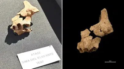 EN EKİ İNSAN KAÇ YIL ÖNCE YAŞAMIŞ? Avrupa’nın En Eski İnsan Fosili Nerede Bulundu, Nasıl Bulundu?