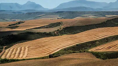 İşlenmeyen tarım arazileri için düğmeye basıldı