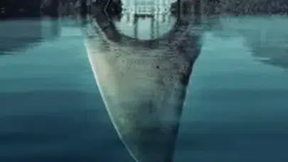 PARİS'İN ALTINDA FİLMİ KONUSU! Oyuncu kadrosunda kimler var?