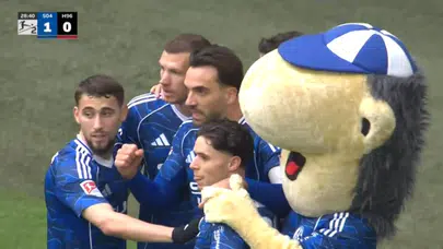 Schalke’de Dzeko Şov! Attığı Gol Fenerbahçelileri Ayağa Kaldırdı