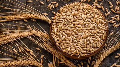 Hasat Öncesi Depolarda Sessiz Tahıl Operasyonu