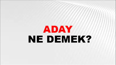 Siyasetten Eğitime Her Yerde Kullanılıyor: Aday Ne Demek?