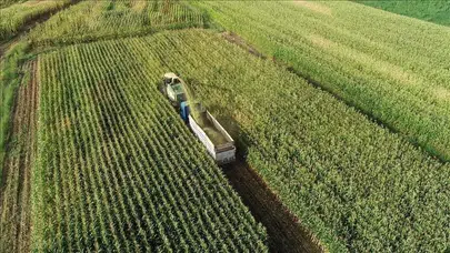 2026 MAZOT GÜBRE DESTEĞI NE ZAMAN YATACAK! ÇKS Çiftçi Destek Ödemeleri İçin Tarih Açıklandı mı?