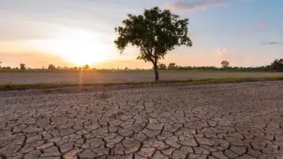 Pasifik’teki sıcaklık patlaması dünyayı yeni bir döneme itiyor
