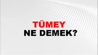 Tümey Ne Demek! TDK sözlük anlamına göre tümey kelimesi nedir?
