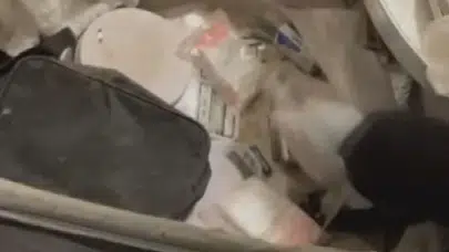 Zehir tacirleri değil adeta terör yuvası: El bombası ve eroin aynı evden çıktı!