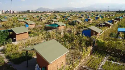 Hobi bahçesi diye villa yapanlar yandı! Üçlü komisyon kuruldu: Affı olmayacak