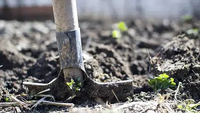 Gübre şoku gıda fiyatlarını kalıcı yükseltebilir
