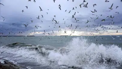 Lodos ve Sağanak Aynı Anda Vuracak: Ankara ve İzmir Dahil Tam 24 Şehir Risk Altında!