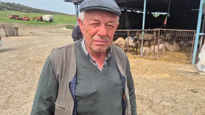 Köy kahvesindeki ikram servetinden etti: 14 saat uyudu, uyandığında tüm parası yoktu!