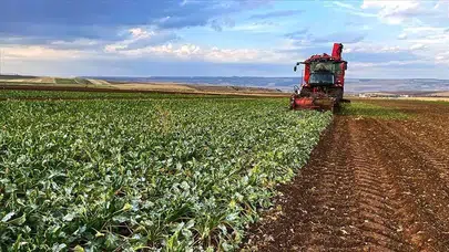 Mazot ve gübre desteği hesaplara geçti mi, ne zaman yatacak? İşte İl İl Ödeme Takvimi ve Detaylar
