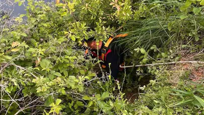 Hatay'da korkutan olay: Derin gölette mahsur kalan can için zamanla yarış