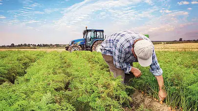 Çiftçiye büyük müjde: Milyonluk hibe kapısı açıldı, destek oranı yüzde 70’e çıktı!