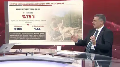 Bakan Çiftçi’den Sahipsiz Hayvan Bilançosu: Sokakların Yüzde 75’i Temizlendi!