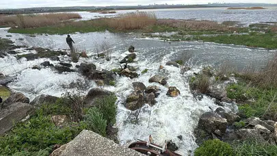 Gölden kaçmaya çalışırken kapana kısıldılar! Büyükçekmece’de 'İsrail sazanı' alarmı