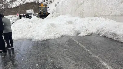 Hakkari-Şırnak yolunda korkutan anlar: Dev çığ ulaşımı felç etti!