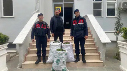 İncir bahçesinde suçüstü! Jandarma affetmedi, hırsız kıskıvrak yakalandı!