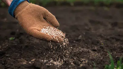2026 mazot gübre desteği yattı mı? Ödeme günü ne, ne kadar, hangi bankaya yatıyor, nasıl kontrol edilir?