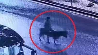 Kayseri’de eşekli kuyumcu soygununa 9 yıl 7 ay hapis cezası