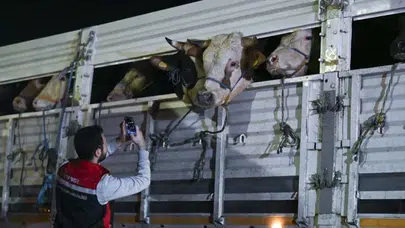 İstanbul’un kapıları açıldı! Kurbanlık tırları Riva’da kuyruğa girdi: İşte ilk görüntüler