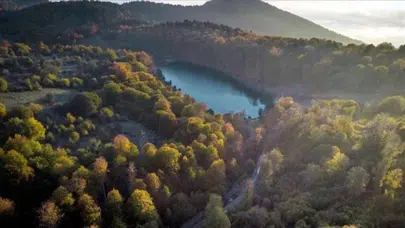 Doğanın sessiz vedası: 2100 yılına kadar 10 bin bitki türü haritadan silinebilir!