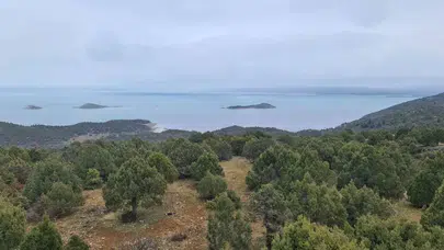 Tatlı su devine ulusal kalkan! Beyşehir Gölü tescilleniyor!