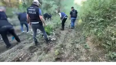 Tarihi Hevsel Bahçeleri’nde gizlenen zehir: Binlerce kök kenevir yok edildi